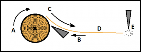 Diagram on how Plywood is made